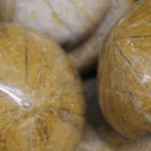 Fossils