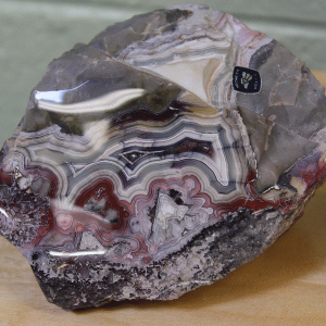 Specimens