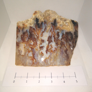 Graveyard Point Plume Slab