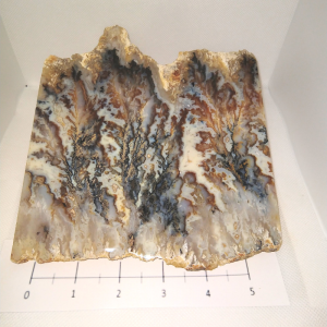 Graveyard Point Plume Agate Slab