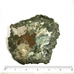 Succor Creek Thunder Egg Slab Unpolished