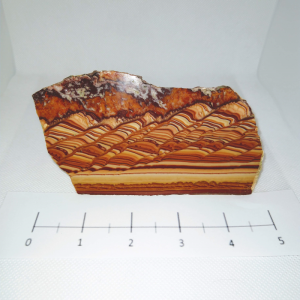Wave Dolomite Slab