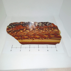 Wave Dolomite Slab