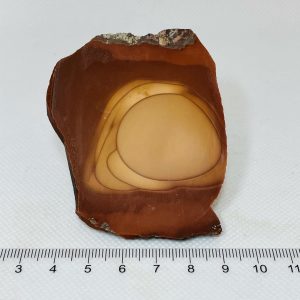 Bruneau Jasper Slab Unpolished