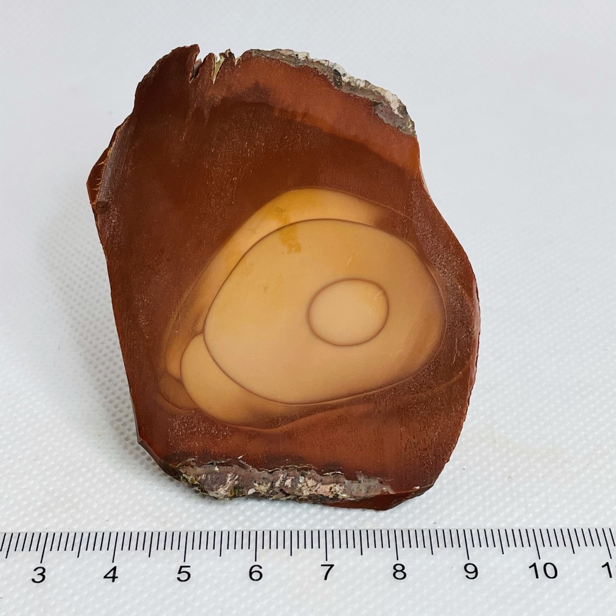 Bruneau Jasper Slab Unpolished