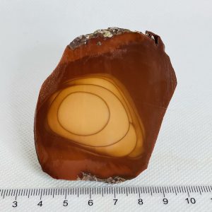 Bruneau Jasper Slab Unpolished