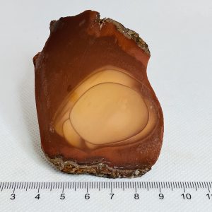 Bruneau Jasper Slab Unpolished