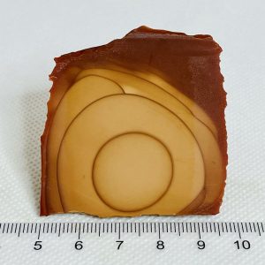 Bruneau Jasper Heel Slab Unpolished