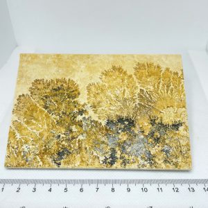 Pyrolusite Dendritic Limestone Slab Unpolished