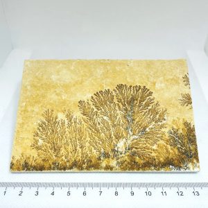 Pyrolusite Dendritic Limestone Slab Unpolished