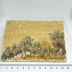 Pyrolusite Dendritic Limestone Slab