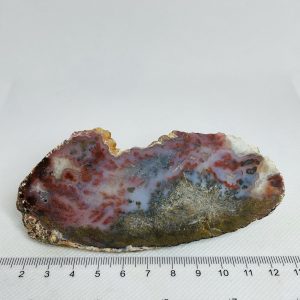 Woodward Ranch Plume Agate Unpolished