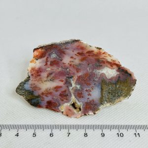 Woodward Ranch Plume Agate Slab Unpolished